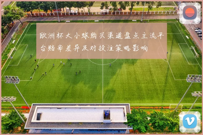 欧洲杯大小球购买渠道盘点主流平台赔率差异及对投注策略影响
