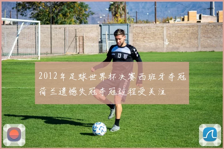 2012年足球世界杯决赛西班牙夺冠荷兰遗憾失冠夺冠过程受关注