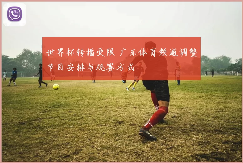 世界杯转播受限 广东体育频道调整节目安排与观赛方式
