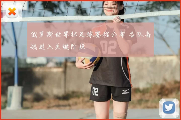 俄罗斯世界杯足球赛程公布 各队备战进入关键阶段