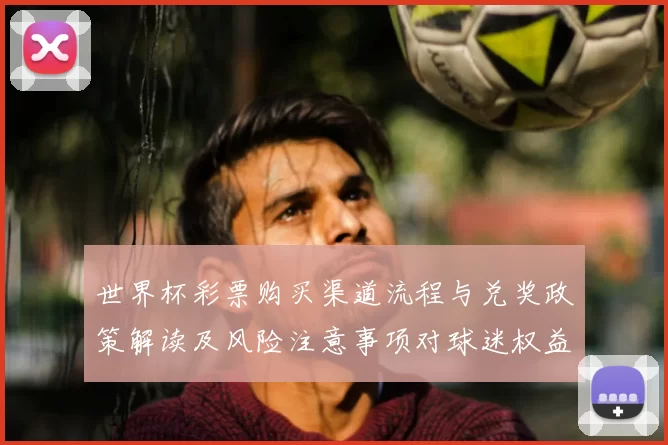 世界杯彩票购买渠道流程与兑奖政策解读及风险注意事项对球迷权益影响